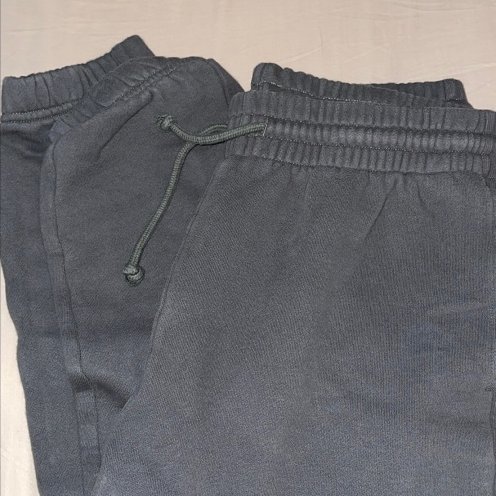 Tna Aritzia Sweatpants